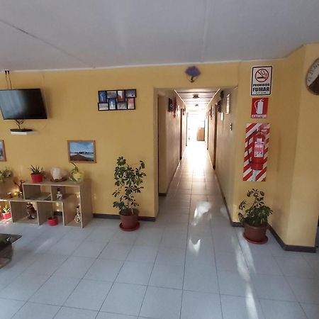 Hostal Km Zero - El Senor Del Lascar San Pedro de Atacama Eksteriør bilde